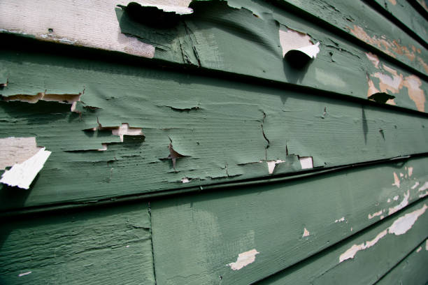 Best Junk Removal for Events  in Oxford, IN